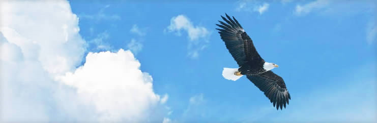 蜜桃视频APP安装