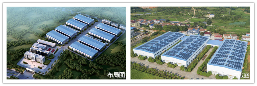 蜜桃视频传媒入口